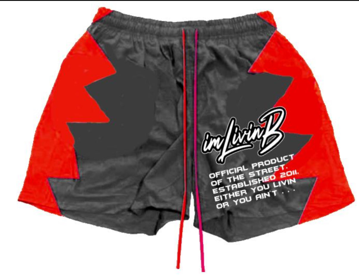 UNLV Shorts