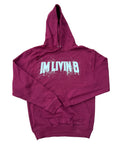 Tour Splash Logo Hoody (Burgundy)