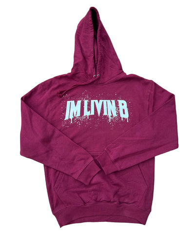 Tour Splash Logo Hoody (Burgundy)