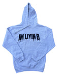 Tour Splash Logo Hoody (Heather Grey)