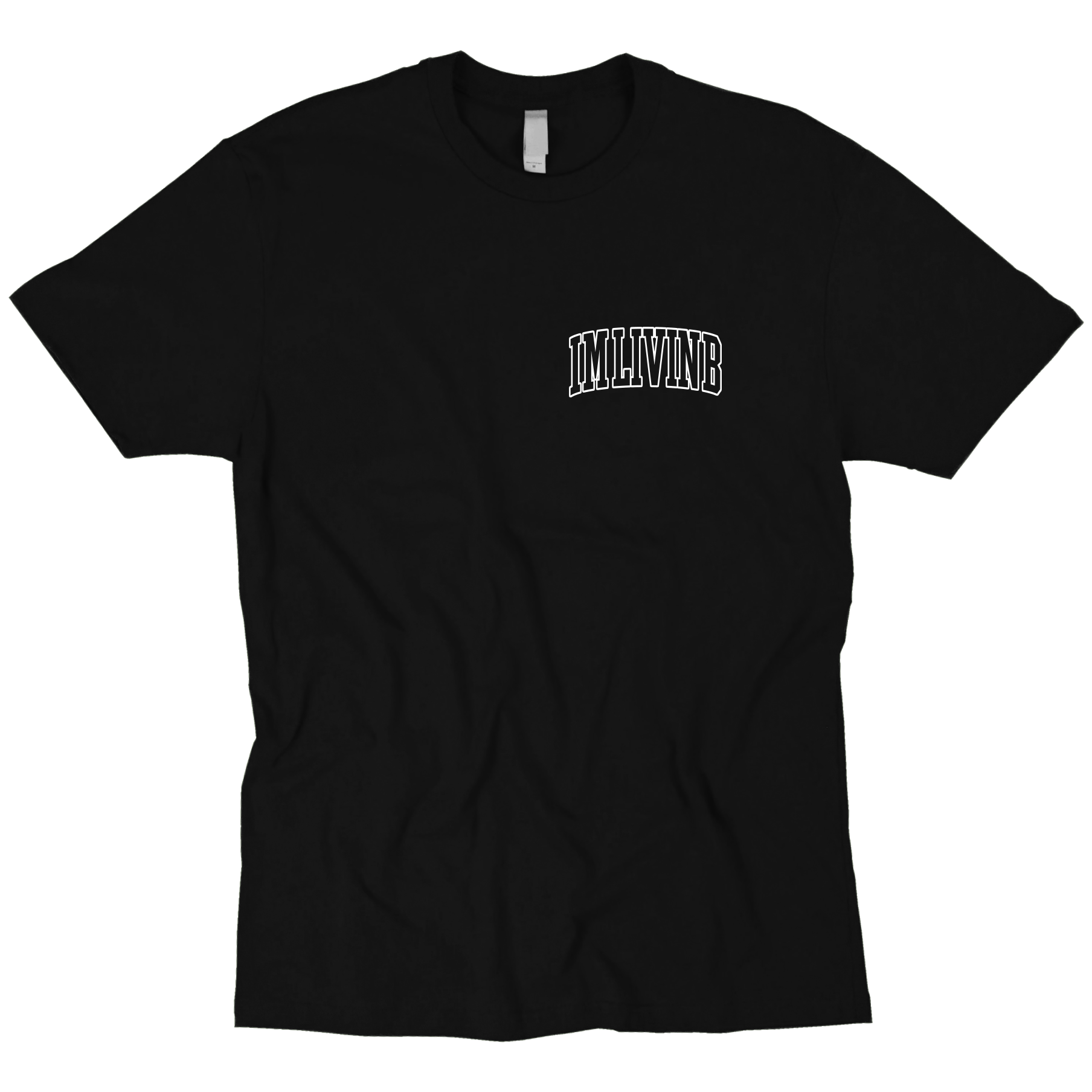 Cinco De Mayo T (Black)