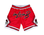 Fastbreak Mesh Shorts